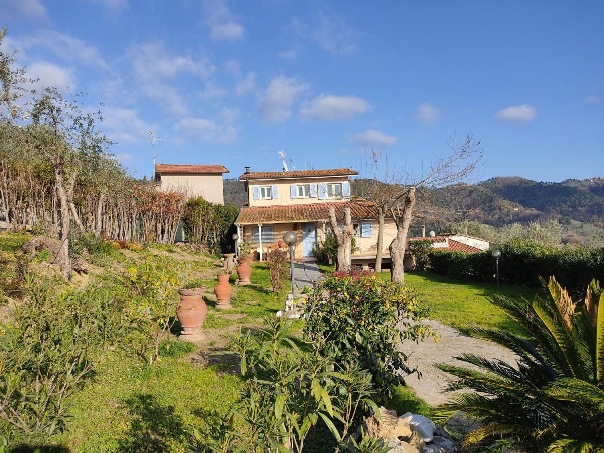 La Tana Del Geco Villa Massarosa Exterior photo