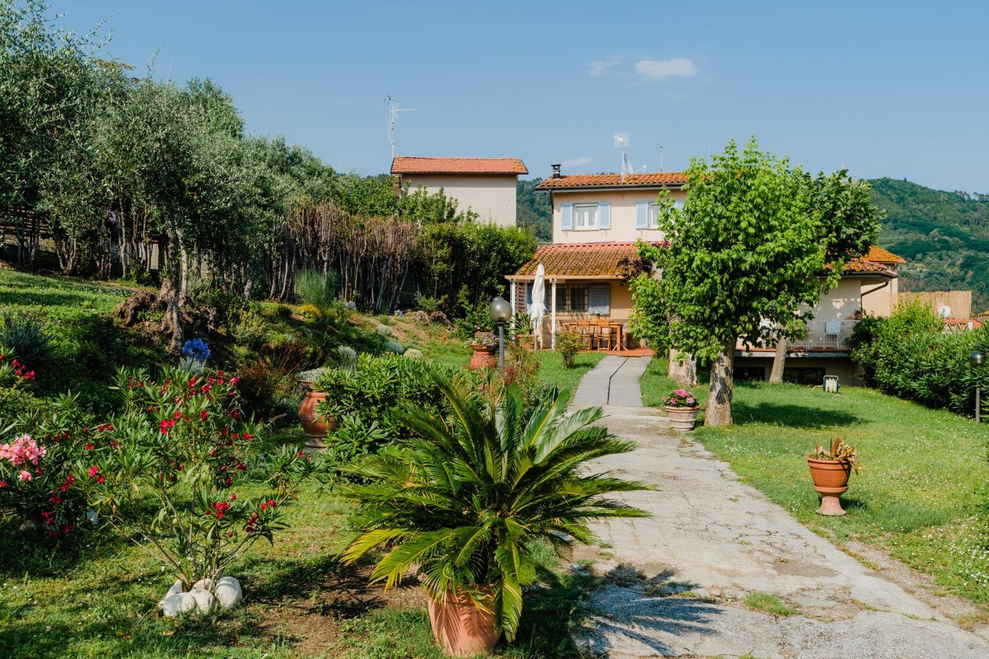 La Tana Del Geco Villa Massarosa Exterior photo
